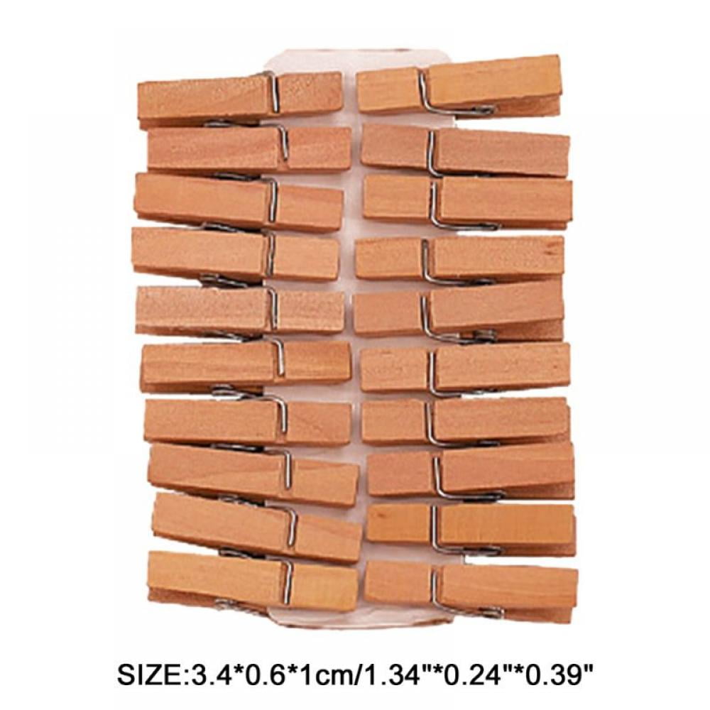 20 PCS Colored Clothespins Clothes Pins Wooden - Small Mini Clothespins for  Photos Pictures Crafts, Color Close Pin Wood Clothing Closepins Chip Clip  Decorative Tiny Photo Clips Decoration Clips 