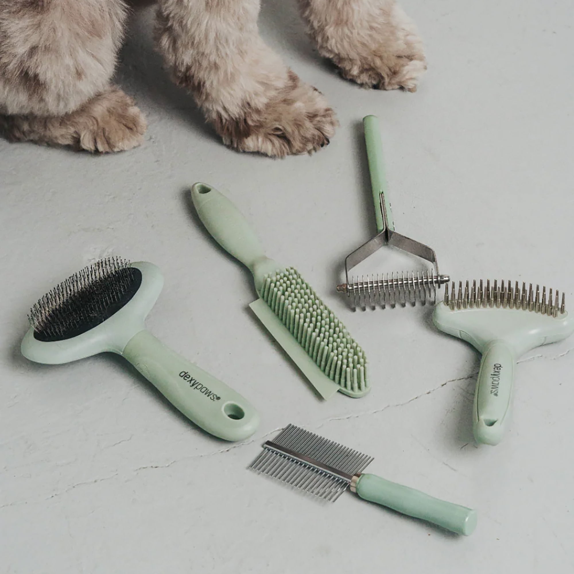 Dexypaws: Pet Slicker Brush - Large - Sage Green, Dog & Cat Grooming Tool, Stainless Steel Teeth, Remove Fur-Tangles-Dirt, Coat Maintenance, 7.7x4.9"