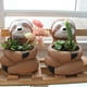 thumbnail image 1 of pstuiky Decoraciones creativas de macetas de resina con forma de suculentas, decoraciones de plantas verdes para mesa, 1 of 9