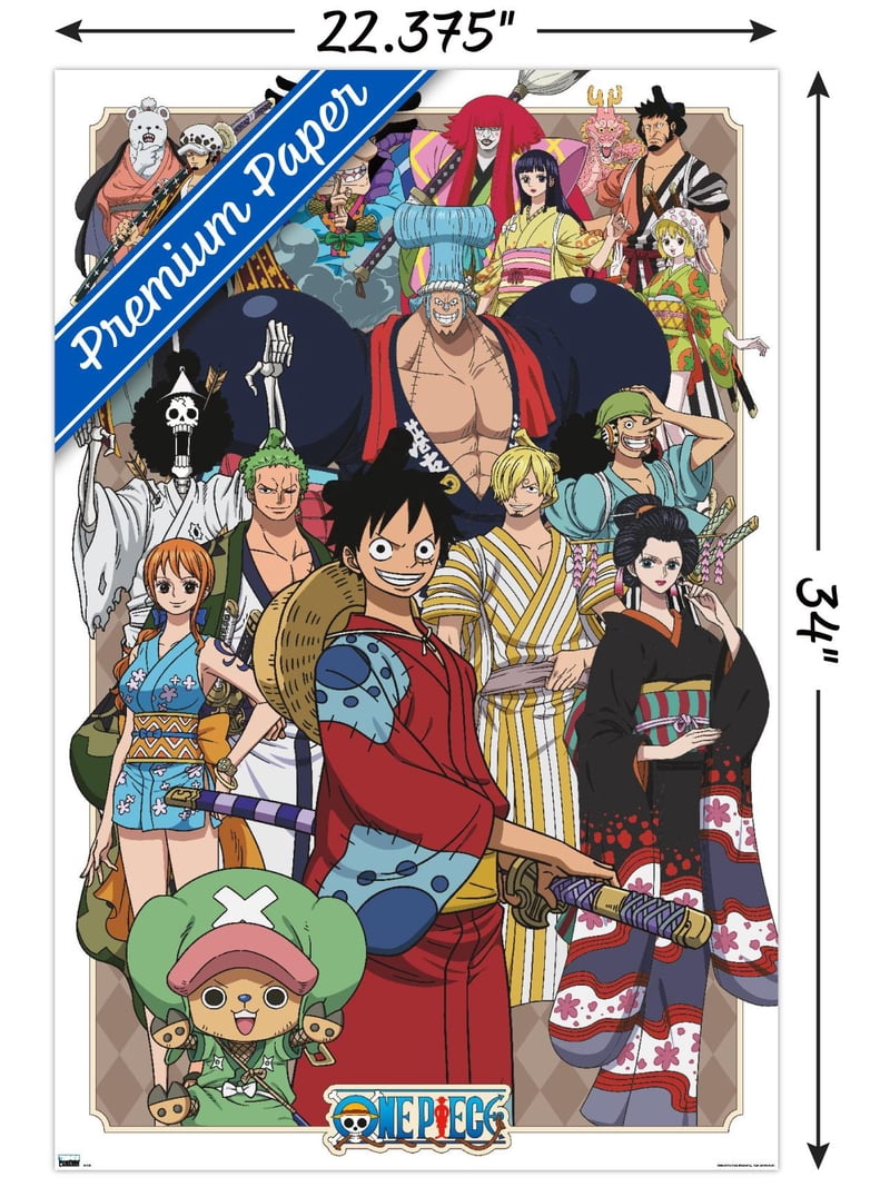 One Piece - Alliance Wall Poster, 22.375