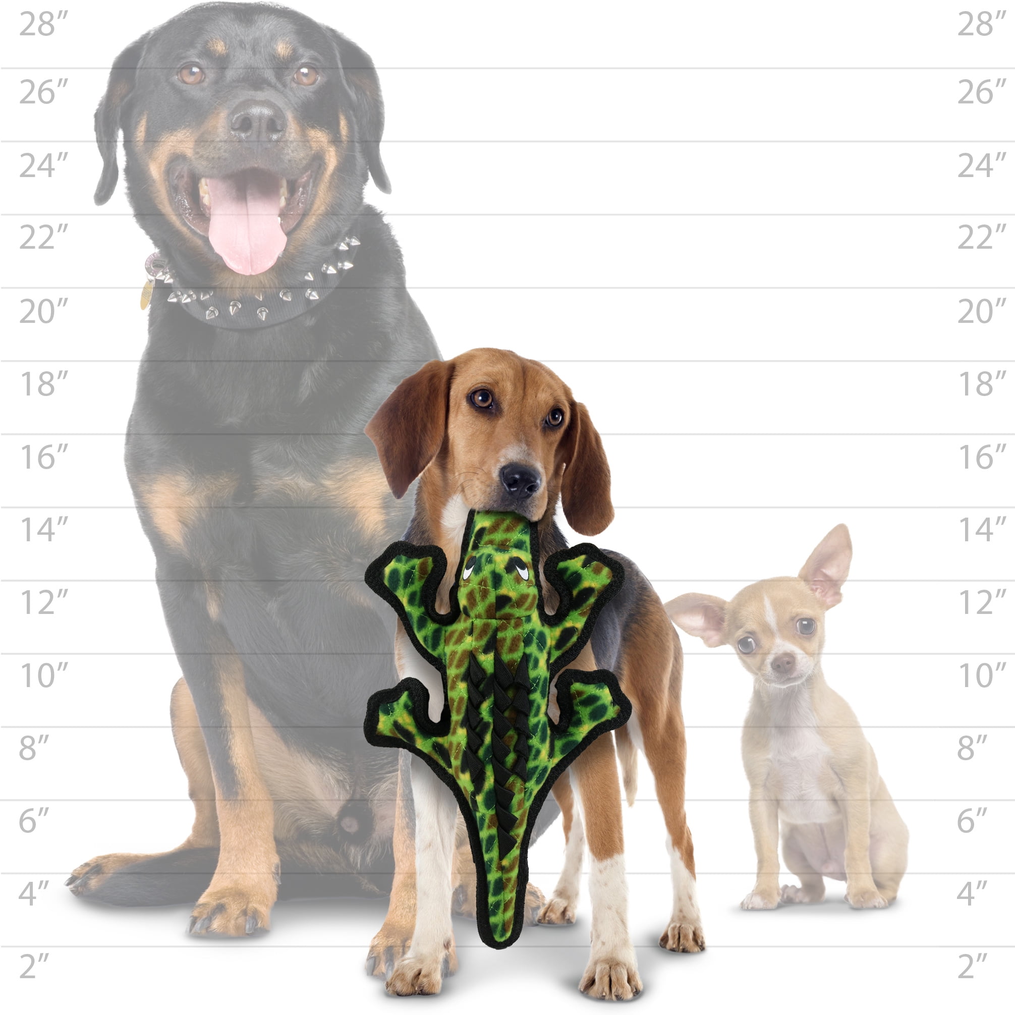 Tuffy Ocean Creature Medium Thin Alligator, Durable, Plush, & Squeaky Green Dog Toy