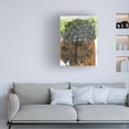 thumbnail image 3 of Canvas Wall Art - Medha Karandikar 'Spiritual Journal 12' Wall Art for Living Room, Bedroom, or Office Décor by Trademark Fine Art - 24 x 32 Inches, 3 of 4
