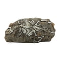 thumbnail image 2 of Flmtop Aquarium Ornament Simulation Turtle Reptile Lizard Landscaping Cave Resin Dinosaur Fossil Fish Tank Decoration for Fishbowl, 2 of 9