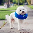 thumbnail image 5 of Collar inflable para mascotas para perros grandes, collar tipo cono cómodo para mascotas, collares inflables básicos para perros, L, 5 of 5