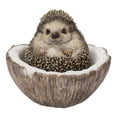 thumbnail image 1 of COCONUT HEDGEHOG, 1 of 4