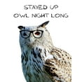 thumbnail image 2 of Lewis, Sheldon 19x24 White Modern Wood Framed Museum Art Print Titled - Owl Night, 2 of 4