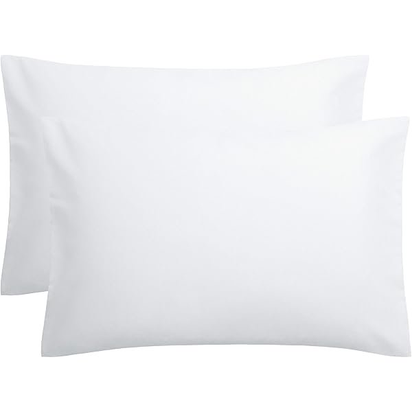 Chenchen Pillow Cases Queen, Soft Microfiber Pillow Covers with Envelope Closure, Wrinkle Resistant Pillowcases, 2 Piece Set, 20x30, White