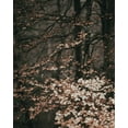 thumbnail image 2 of Straatsma, Leah 12x14 Gold Ornate Wood Framed with Double Matting Museum Art Print Titled - Moody Forest Leaves, 2 of 4