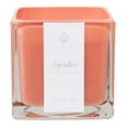 thumbnail image 1 of Vela Spa Hometrends Agradece 430 gr, 1 of 3