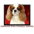 thumbnail image 2 of CafePress - Cavalier King Charles Spaniel Throw Blanket - Soft Fleece Throw Blanket, 50"x60" Stadium Blanket, 2 of 2