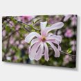 thumbnail image 2 of Beautiful Magnolia Flowers - Large Floral Canvas Art Print, 2 of 4