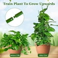 Adjustable Twig Plant Support Stake Set, 6 Pack 39.4" Monstera Plant