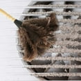 thumbnail image 6 of SHEIGUANNI Ostrich Feather Duster with Retractable Long Handle - Reusable Cleaning Tool for Ceiling Fans, Chandeliers, Blinds & Furniture [100% Natural Feathers, Durable Design], 6 of 8