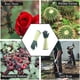 thumbnail image 4 of Apuakthei Guantes de poda con estampado de jardín para hombres/mujeres, guantes de jardinería antiespinas para plantar flores, los mejores regalos y herramientas de jardinería, 4 of 5
