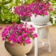 thumbnail image 5 of Eoozwa 1 Packs Artificial Flowers 7-Head Bouquet Realistic Silk Floral Stems for Home Decor Wedding Centerpieces and Outdoor Garden Photography Props Long-Lasting Spring Collection, 5 of 6