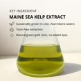 thumbnail image 3 of Aceite Facial Cold Current Kelp 10 ml Lavanda Costera, 3 of 6