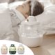 thumbnail image 1 of Mini humidificador con luz que cambia de color y carrusel giratorio de 360° - Humidificador de escritorio USB de 320 ml para oficina en casa, difusor de aromaterapia, verde rosa blanco, 1 of 8