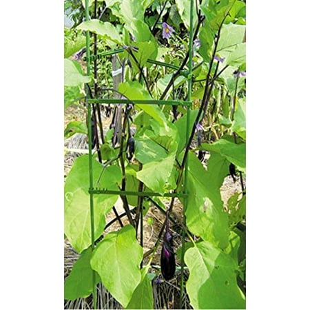 Mr.Garden Planter Trellis, Plant Ladder, Support Ladder, Tomato Trellis, Cucumber Trellis, 2pcs of 5/16