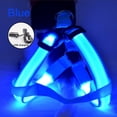 thumbnail image 2 of Arnés luminoso para perros recargable por USB, antitirones, luz LED, seguridad nocturna, collar de nailon para mascotas, arnés con luz LED brillante para perros para correr, 2 of 5
