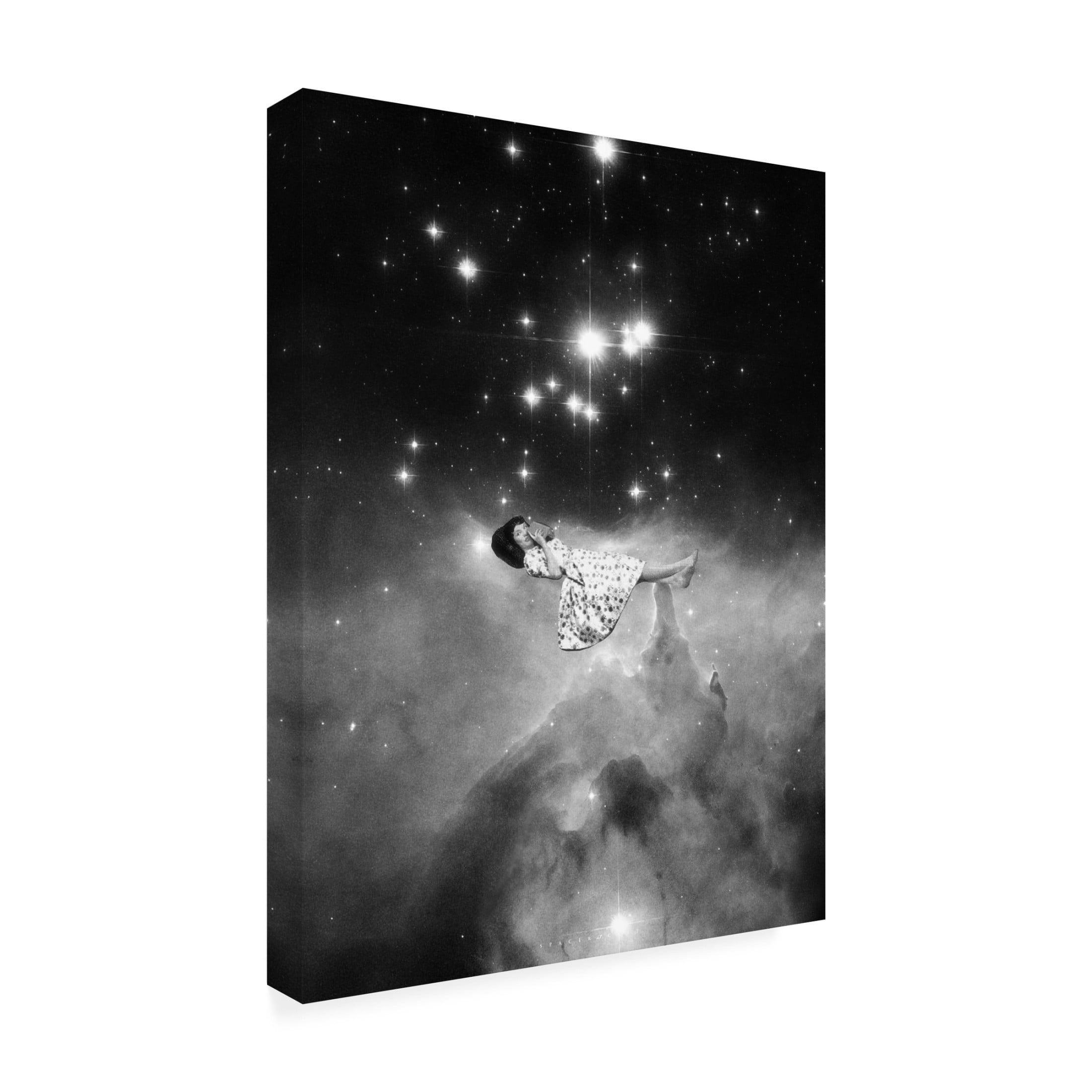 Trademark Fine Art spacerocket art 478 Canvas Wall Art
