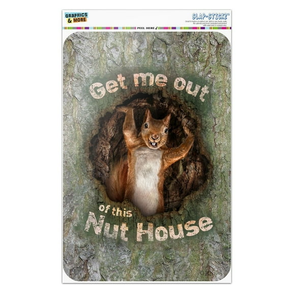 Get Me Out of this Nut House Crazy Funny Home Business Office Sign