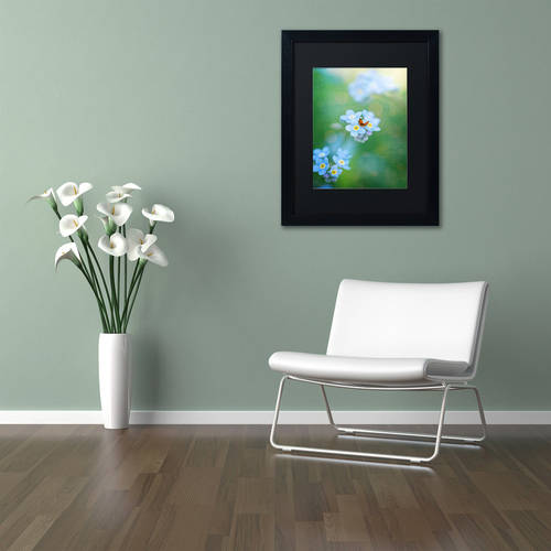 Trademark Fine Art "Forget-Me-Not" Canvas Art by Philippe Sainte-Laudy, Black Matte, Black Frame