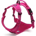 thumbnail image 1 of HAHDAXIA Dog Harness No Pull Harness with Handle Reflective Dog Vest, Small, Fuchsia, 1 of 7