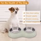 thumbnail image 4 of Cuenco para perros Cuenco doble Cuencos elevados de agua y alimentos de acero inoxidable, Comederos para mascotas MFZFUKR BST3009054-3, 4 of 8