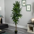 thumbnail image 4 of Nearly Natural 6' Dracaena Artificial Plant (Real Touch), Green, 4 of 5