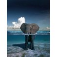 thumbnail image 1 of Taladro Pintura Diamante (DE3041) 5D DIY Elefante Completo Punto de Cruz Bordado Mosaico 30x40cm FLhrweasw Nuevo, 1 of 1