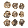 thumbnail image 3 of Uttermost Corkscrew Wood Wall Decor in Natural (Set of 9), 3 of 5