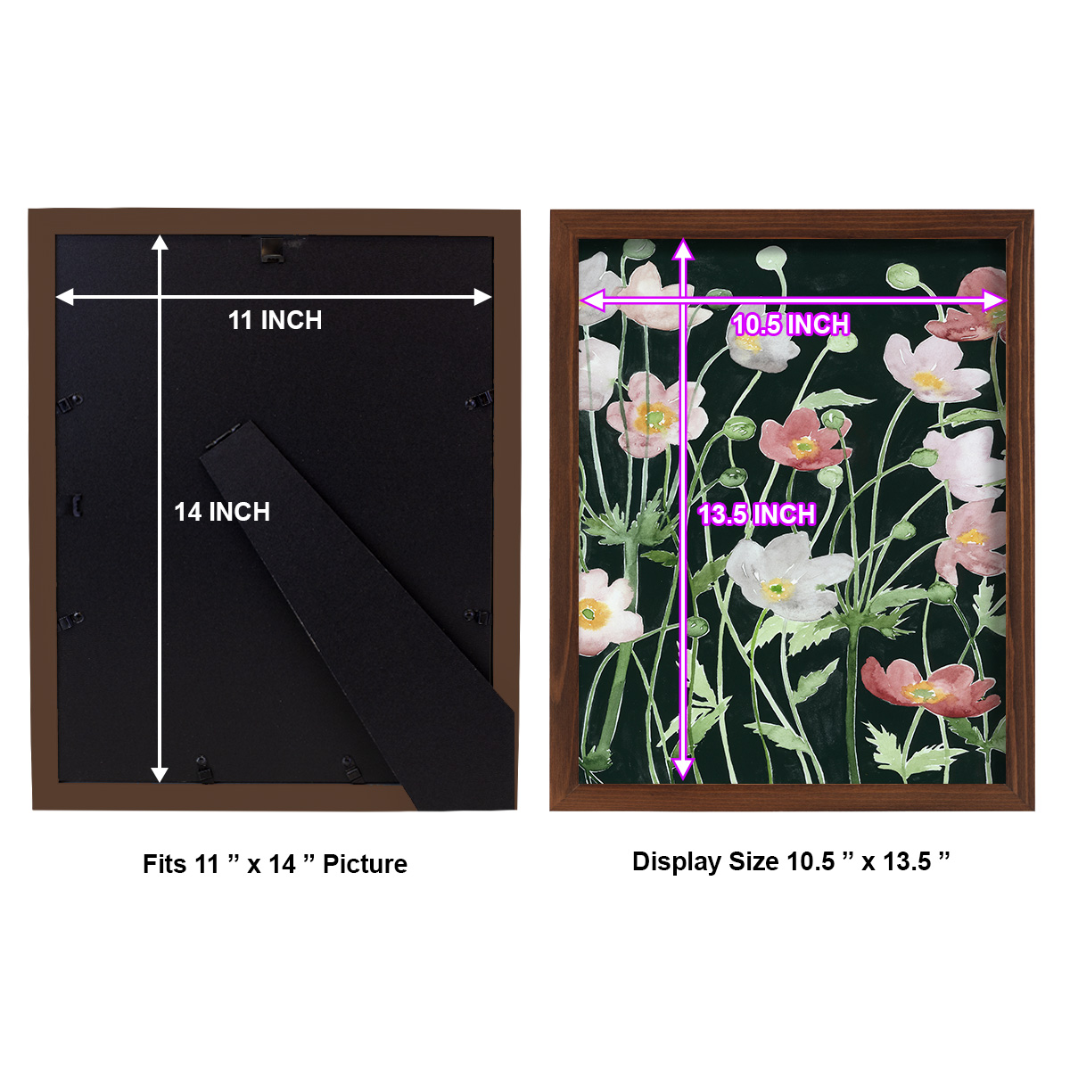 Anemone Dance I -Framed Print w/glass-Chestnut
