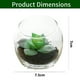 thumbnail image 2 of 3 uds plantas en macetas de vidrio suculentas artificiales pequeños adornos creativos planta de simulación bonsái, 2 of 5