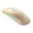 Gold, variant on Compact Wireless Rechargeable LED Lighted Mouse | Portable Adjustable DPI | Custom Silent Click & RGB | Programmable | The mouse is a safe and durable battery and there Gold