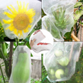 thumbnail image 2 of Queilt Set of 100 Anti-Insect Net Bags, Nylon Garden Protection Net, Reusable Fruit and Plant Protection Bag, Anti-Bird Grape Bag with Drawstring (15 x 10cm (100pcs), 2 of 5