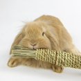 thumbnail image 2 of Rabbit Chew Toys Grass Woven Natural Rabbit Chew Carrot Rabbit Chew Sticks Small Animals Grinding Teeth Supplies Carrot toys, 2 of 5