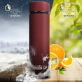 thumbnail image 2 of The London Sip Multi-Purpose Travel Mug and Tumbler Fruit Infused Flask Hot and Cold Double Wall Stainless Steel Thermos with Extra-Long Infuser, Sacred Red, 2 of 4