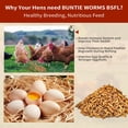 thumbnail image 3 of Alimento para gallinas BUNTIE WORMS, larvas secas de mosca soldado negra, 2,5 kg, 3 of 5