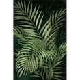 thumbnail image 3 of Nan 11x14 Black Modern Framed Museum Art Print Titled - Island Dream Palms II, 3 of 5