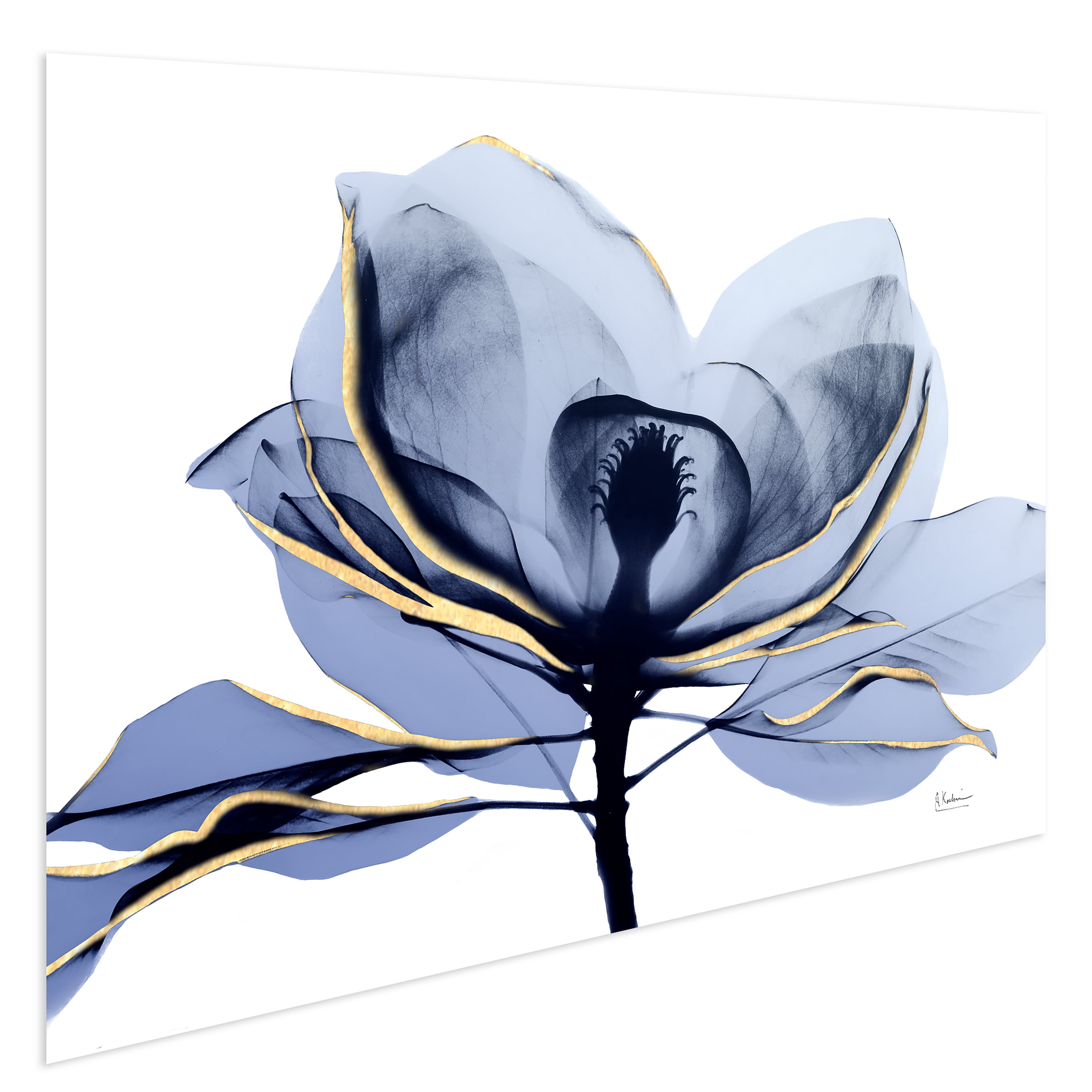 Golden Midnight 2 Frameless Free Floating 48 in x 32 in Painting Art Prints, by Empire Art