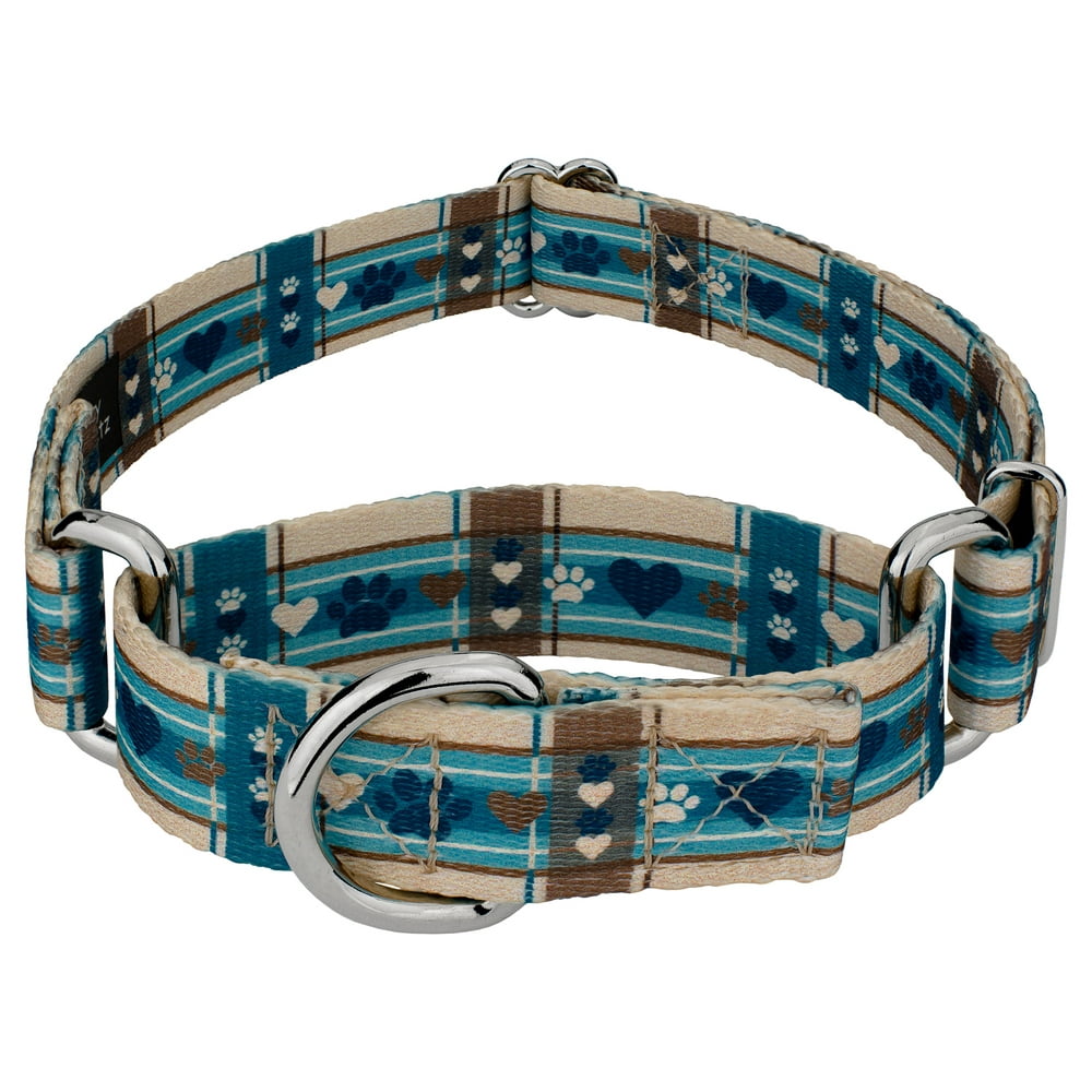Country Brook Petz® Puppy Picnic Martingale Dog Collar, Medium