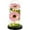 Pink, variant on Forever Flowers Preserved Sunflower - Gifts with Light in Glass Dome for Mom Grandma Wife Girlfriend, Pink Flower for Christmas, Valentine's Day, Anniversary.Birthday