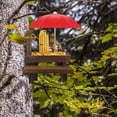 thumbnail image 3 of Bxaolu Squirrel Feeder Picnic Table with Umbrella, Carbonized Wood Squirrel Feeder for Outside Funny Chipmunk Feeder with Corn Cob Holder Structure Solid for Squirrel Gifts, 3 of 8
