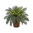 thumbnail image 1 of Nearly Natural 8875 15 in. Cycas Artificial Plant in Basket, 1 of 2