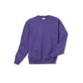 thumbnail image 3 of Hanes Boys EcoSmart Fleece Crew Neck Sweatshirt, Sizes XS-XL, 3 of 4