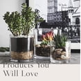 thumbnail image 7 of 5"X5" Glass Cylinder Vase - WHOLE HOUSEWARES Candle Holder - Decorative Centerpiece Arrangement for Wedding Party Event Home Office Decor - Set of 4, 7 of 7