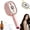 Pink, variant on 5 in 1 Air Cushion Brush, Rechargeable Electric Steam Brush with Water Mist for Reduce Frizz, Nourishes Hairs, Anti-Static