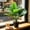 B, variant on Artificial Plant in Pot Fake Tree Trunks Leaves Faux Potted for Indoor Outdoor Modern Decoration Home Office Living Room Bedroom Balcony Housewarming Gift
