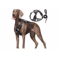 thumbnail image 1 of Pechera Arnés De Seguridad Para Perro Chico Mediano Y Grande Xtellar negro, 1 of 4