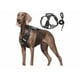 thumbnail image 1 of Pechera Arnés De Seguridad Para Perro Chico Mediano Y Grande Xtellar negro, 1 of 4